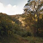 La-ligne-domaniales-1280x850