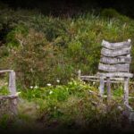 le-plateau-ilet-alcipe-1280x850