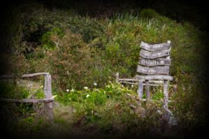 le-plateau-ilet-alcipe-1280x850