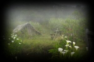 premier-pas-a-ilet-1280x850