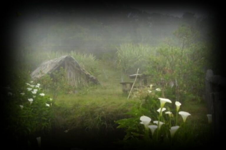 premier-pas-a-ilet-1280x850