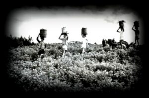 Champs-geranium-ferblanc1280x850-3-1-1024x680