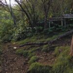 Croise-sentiers-Cambour-Omega-passe-pieds-1280x850