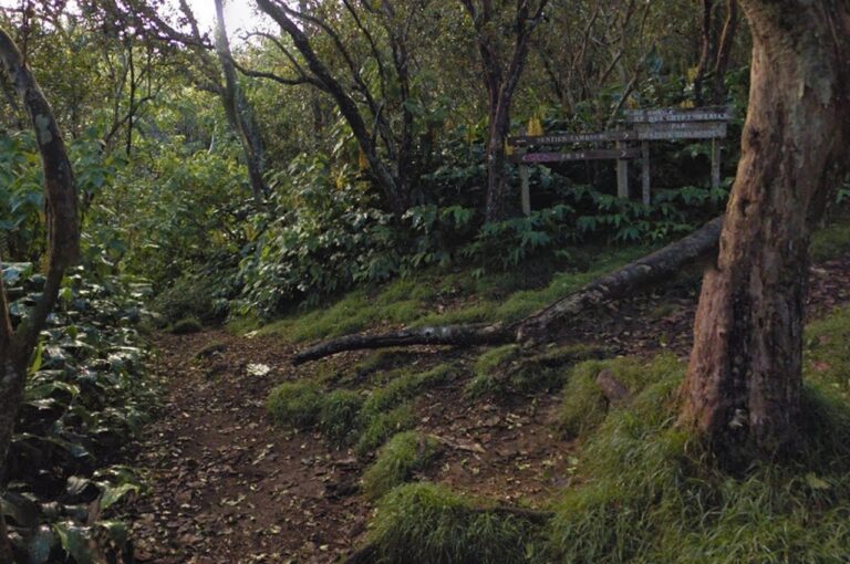 Croise-sentiers-Cambour-Omega-passe-pieds-1280x850