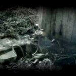 Essencieur-Distillation-1280x850