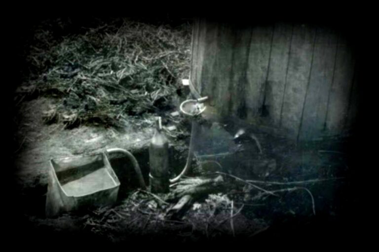 Essencieur-Distillation-1280x850