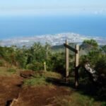 Piton-papangue-1280x850