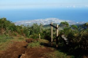 Piton-papangue-1280x850