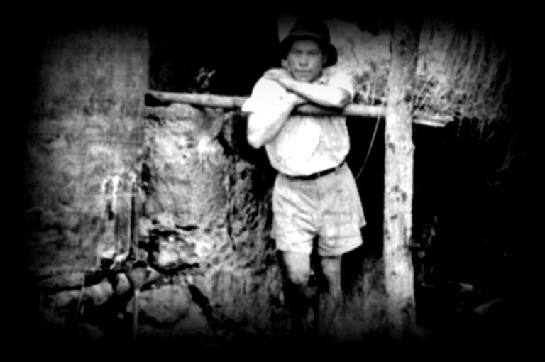 Vestige-dAmour-1280x850