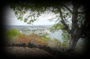 alcipe-ravine-a-malheur-1280x850