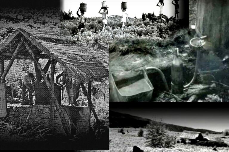 damour-willman-gregoire-1280x850