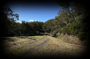 la-ligne-12-cents-1280x850