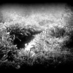 le-retour-occasionnel-1280x850