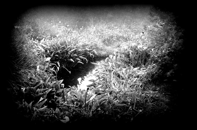 le-retour-occasionnel-1280x850