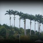 le-village-bras-mort-1280x850