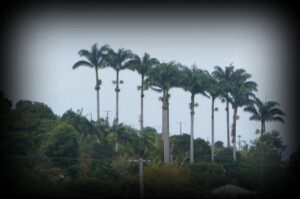 le-village-bras-mort-1280x850