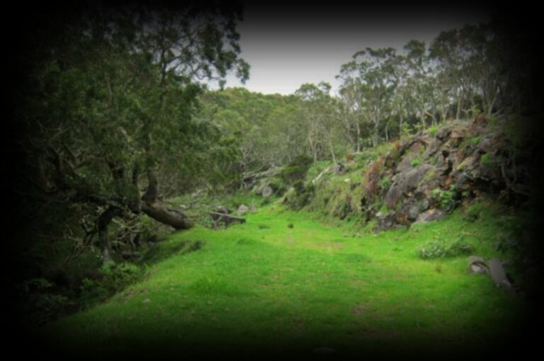 louis-emile-mulot-1280x850