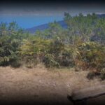 piton-mafouta-1280x850