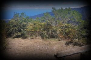 piton-mafouta-1280x850