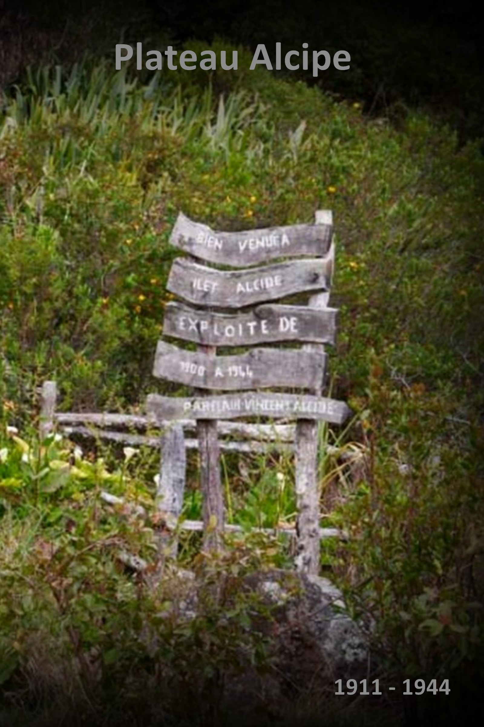 Plateau-Alcipe-1600x2400