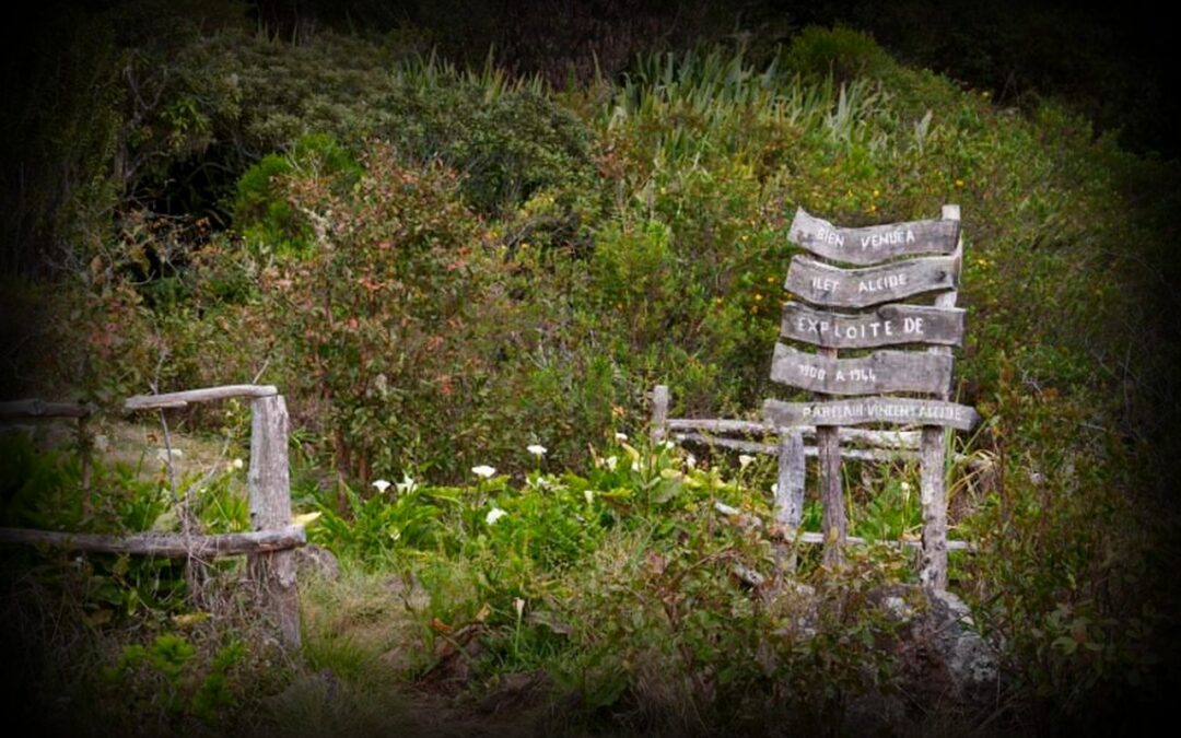 Le plateau îlet-Alcipe